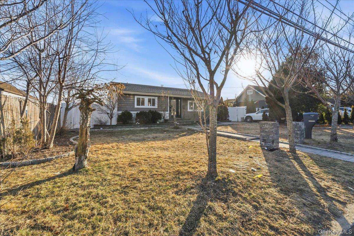 #3 photo, 28 Hemlock Street, 东长岛 Central Islip , NY 11722