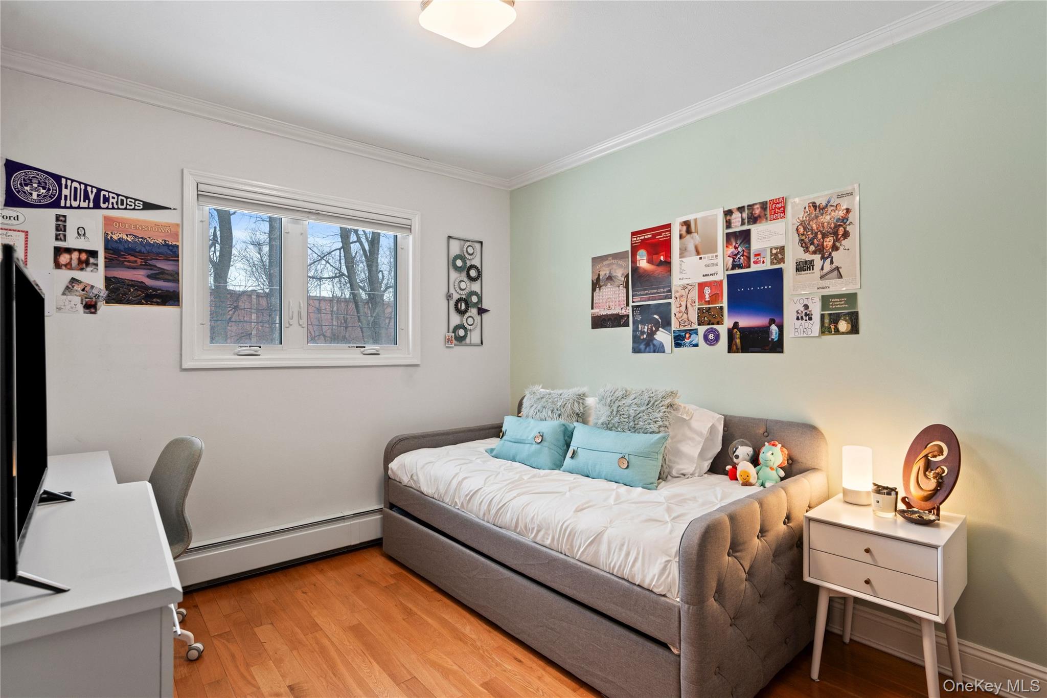 #17 photo, 24 Jeffrey Lane, ナッソー郡 Great Neck , NY 11020