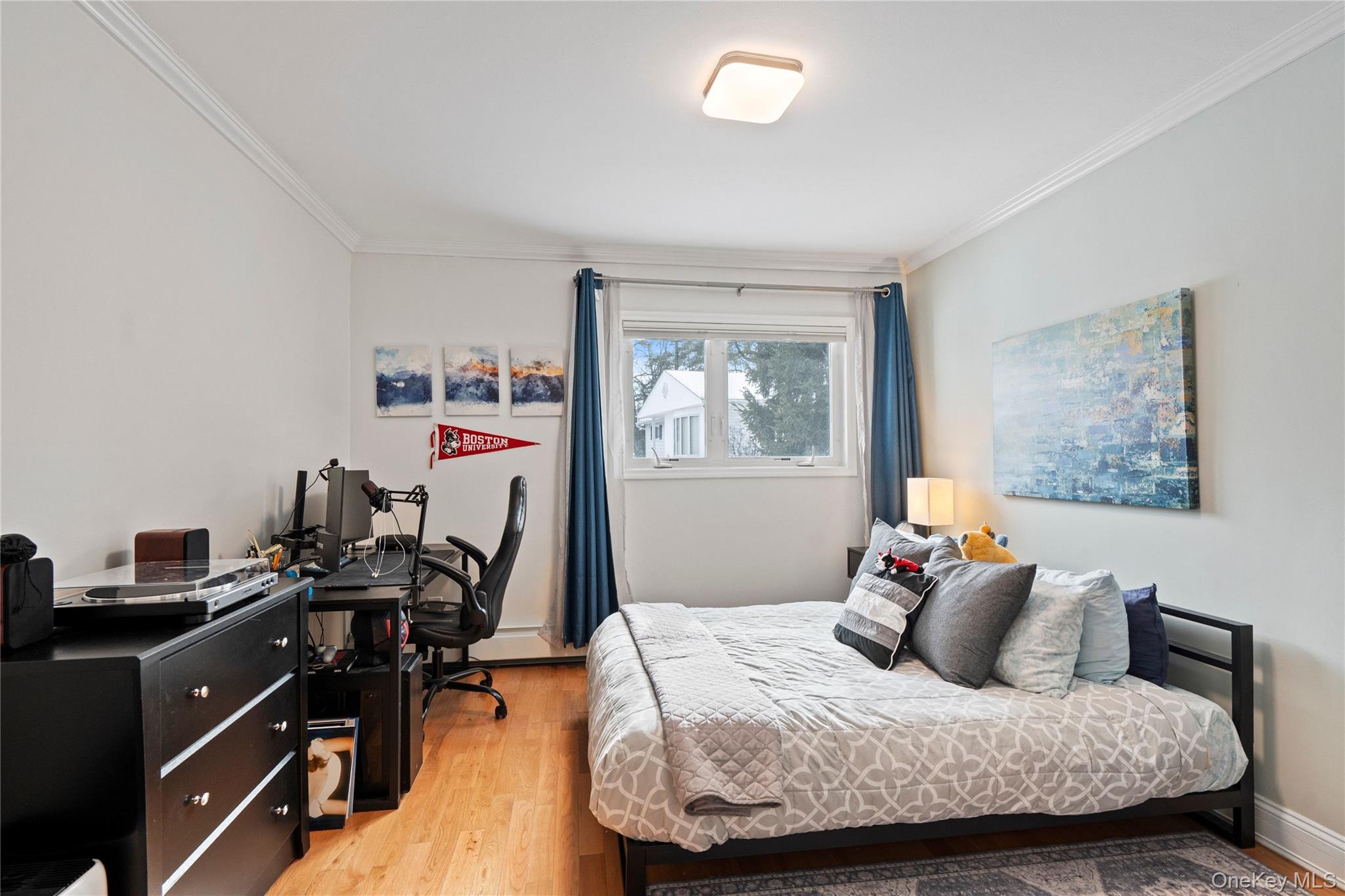 #19 photo, 24 Jeffrey Lane, ナッソー郡 Great Neck , NY 11020