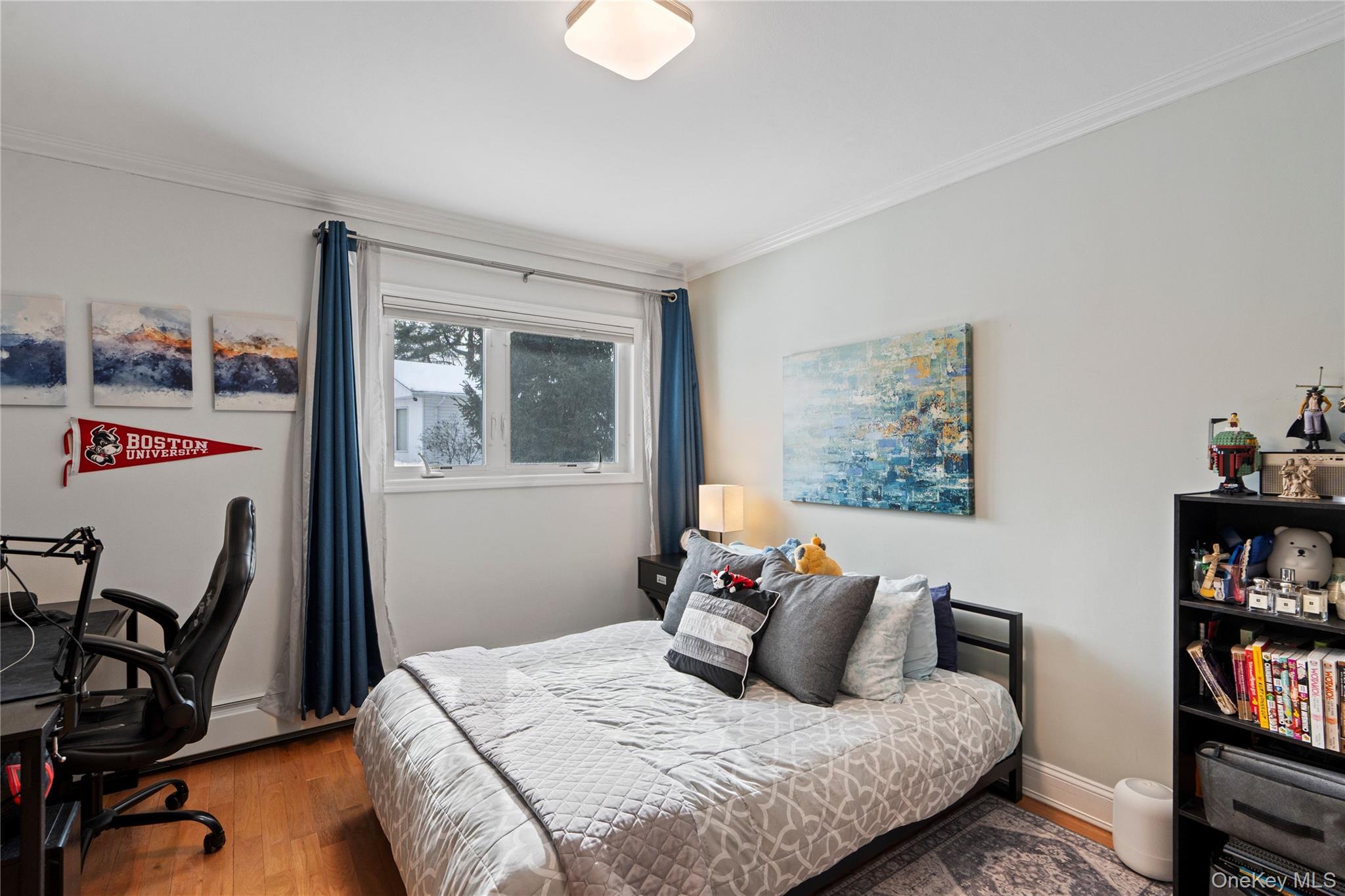 #20 photo, 24 Jeffrey Lane, ナッソー郡 Great Neck , NY 11020