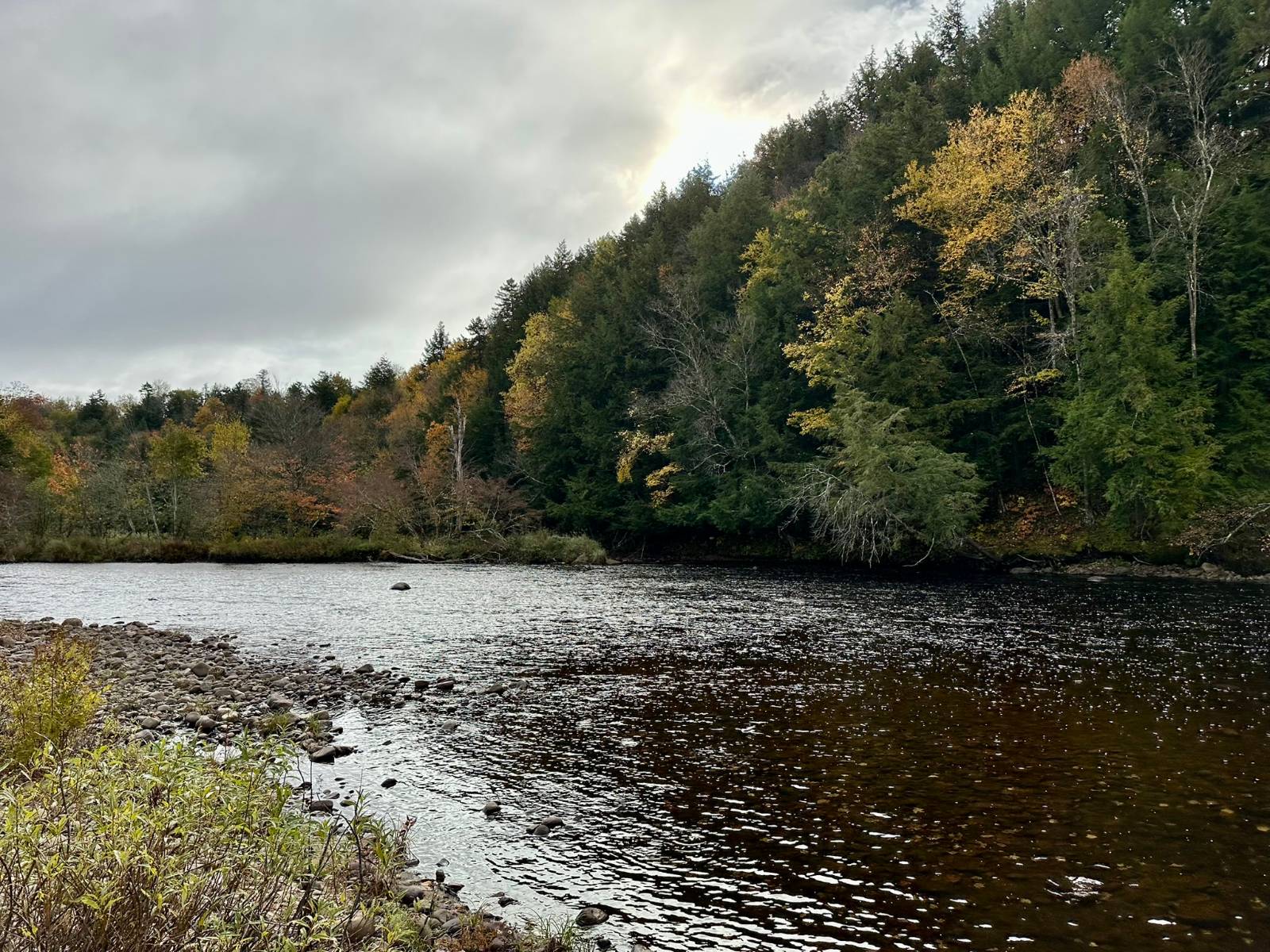 #45 photo, 156 Coleman Rd, Cold Brook , NY 13324