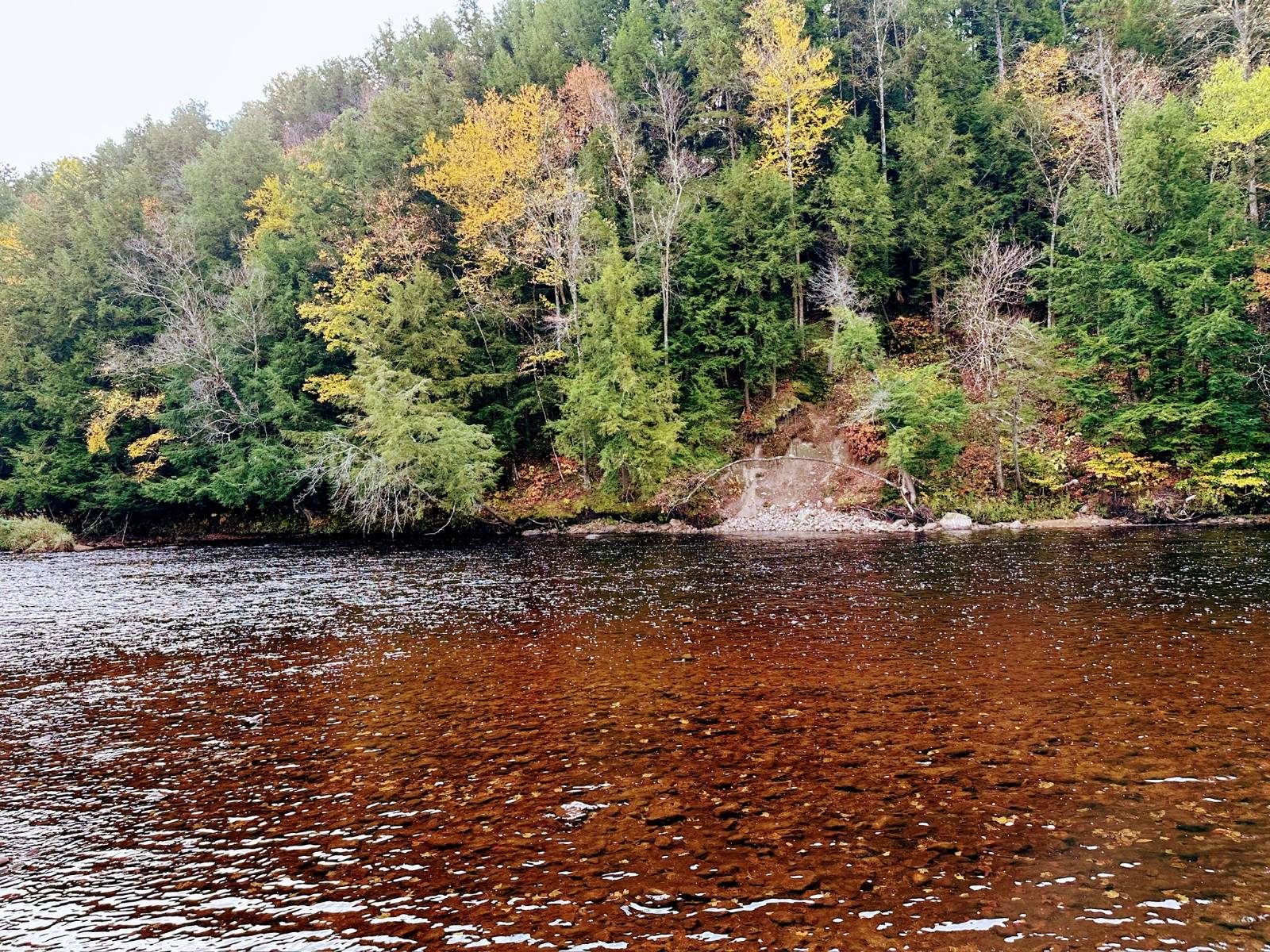 #46 photo, 156 Coleman Rd, Cold Brook , NY 13324