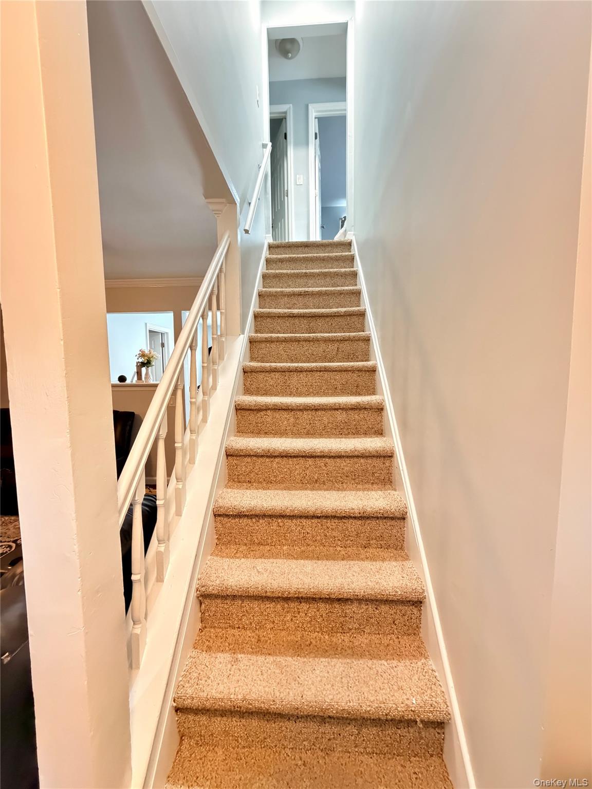 #8 photo, 19 Rutland Road, 東長島 Mastic , NY 11950