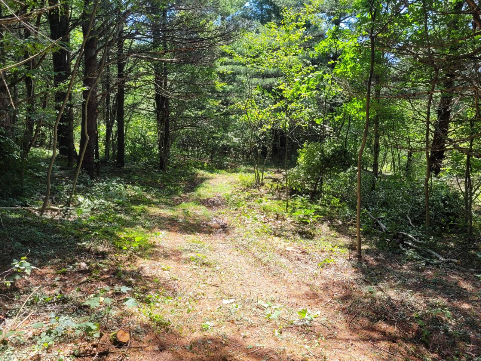 #11 photo, 00 Arnoldville Rd, #2, Diana , NY 13648