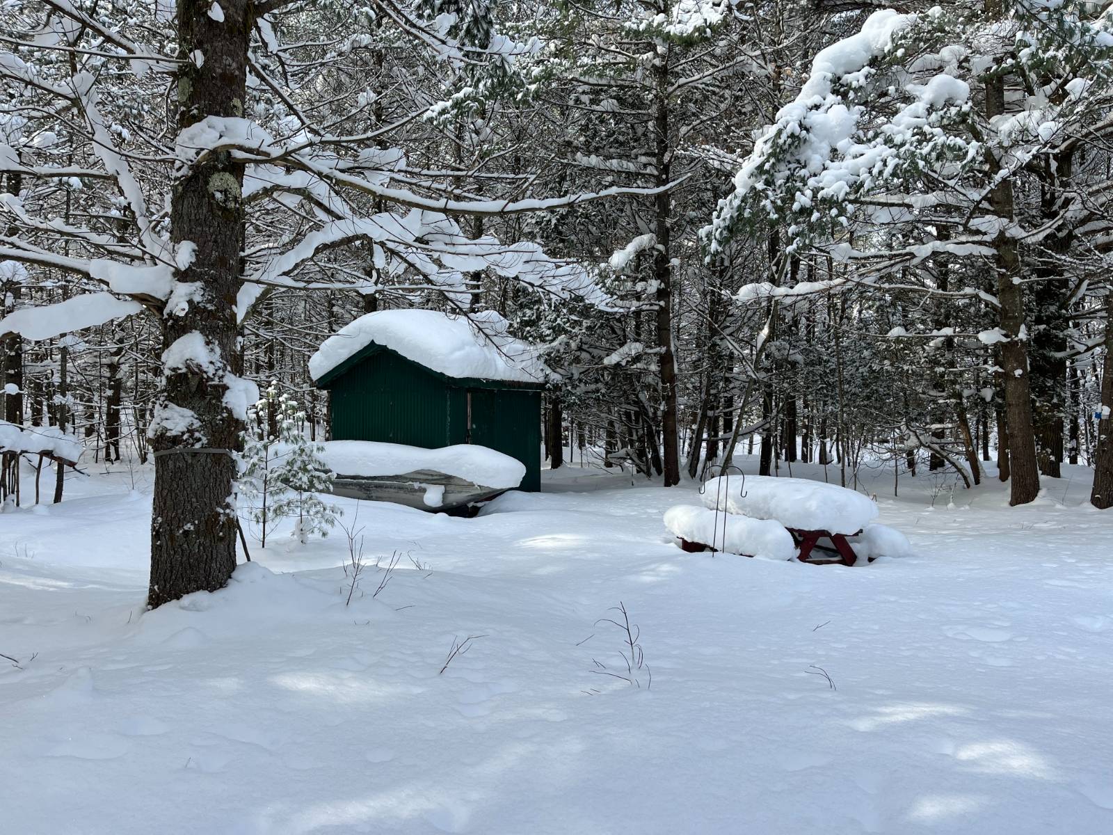 #15 photo, 00 Arnoldville Rd, #2, Diana , NY 13648