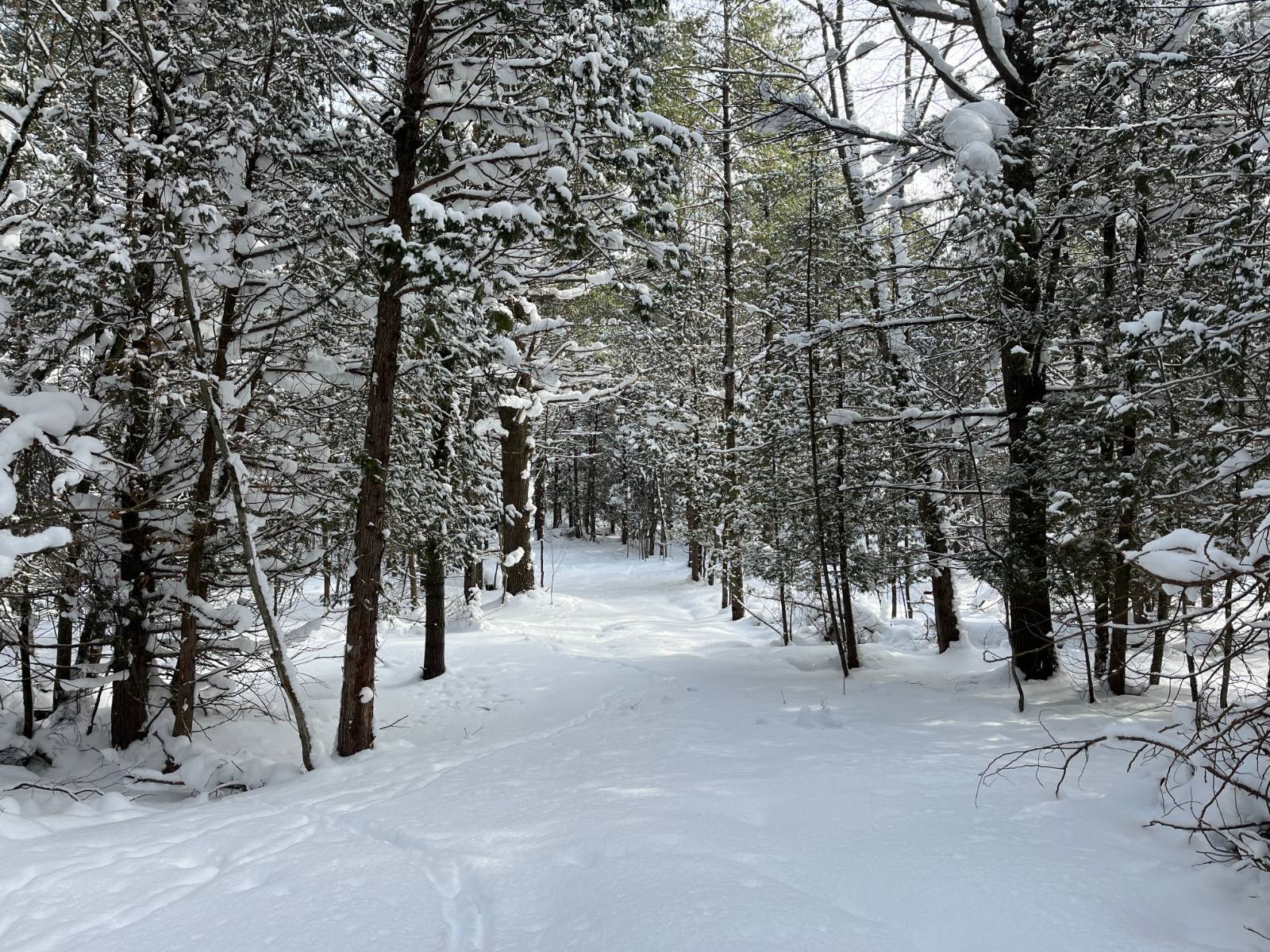 #16 photo, 00 Arnoldville Rd, #2, Diana , NY 13648