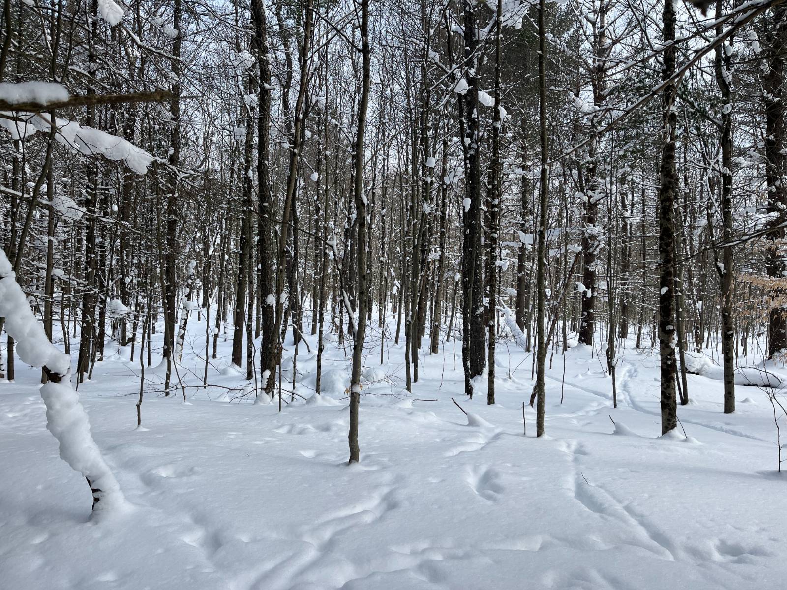 #18 photo, 00 Arnoldville Rd, #2, Diana , NY 13648