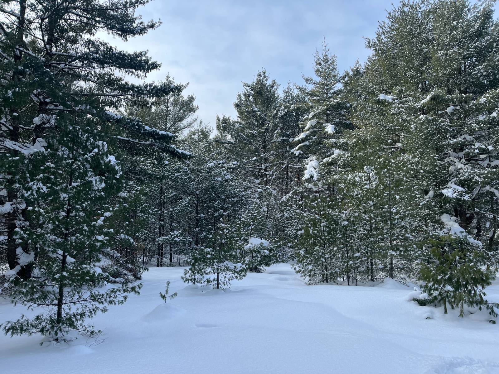 #19 photo, 00 Arnoldville Rd, #2, Diana , NY 13648