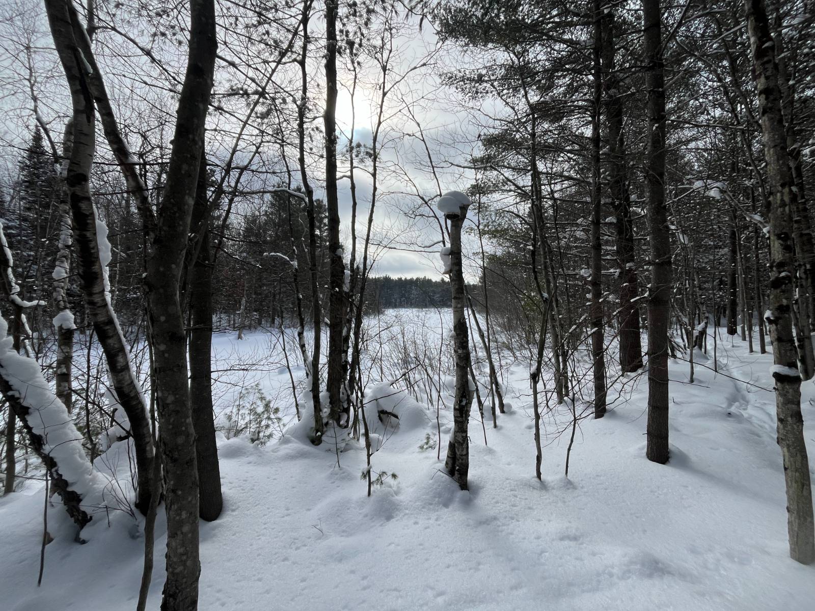 #20 photo, 00 Arnoldville Rd, #2, Diana , NY 13648