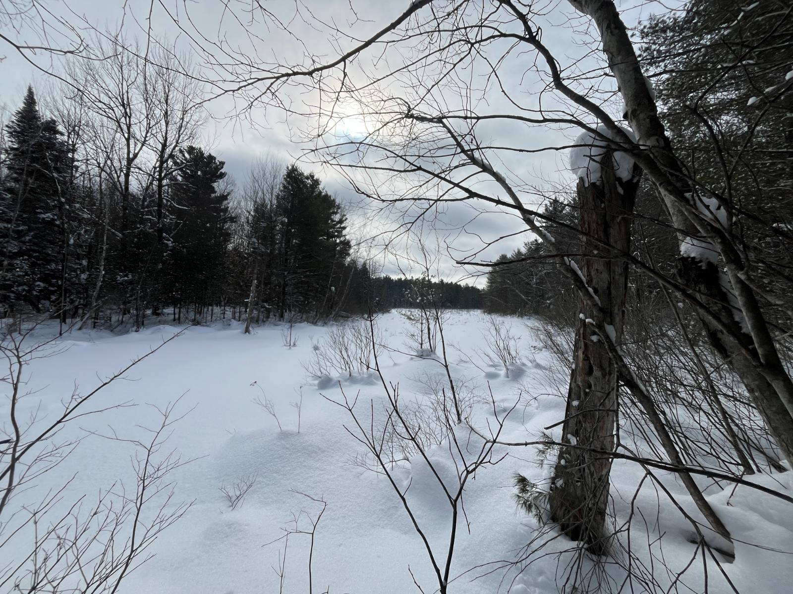 #21 photo, 00 Arnoldville Rd, #2, Diana , NY 13648