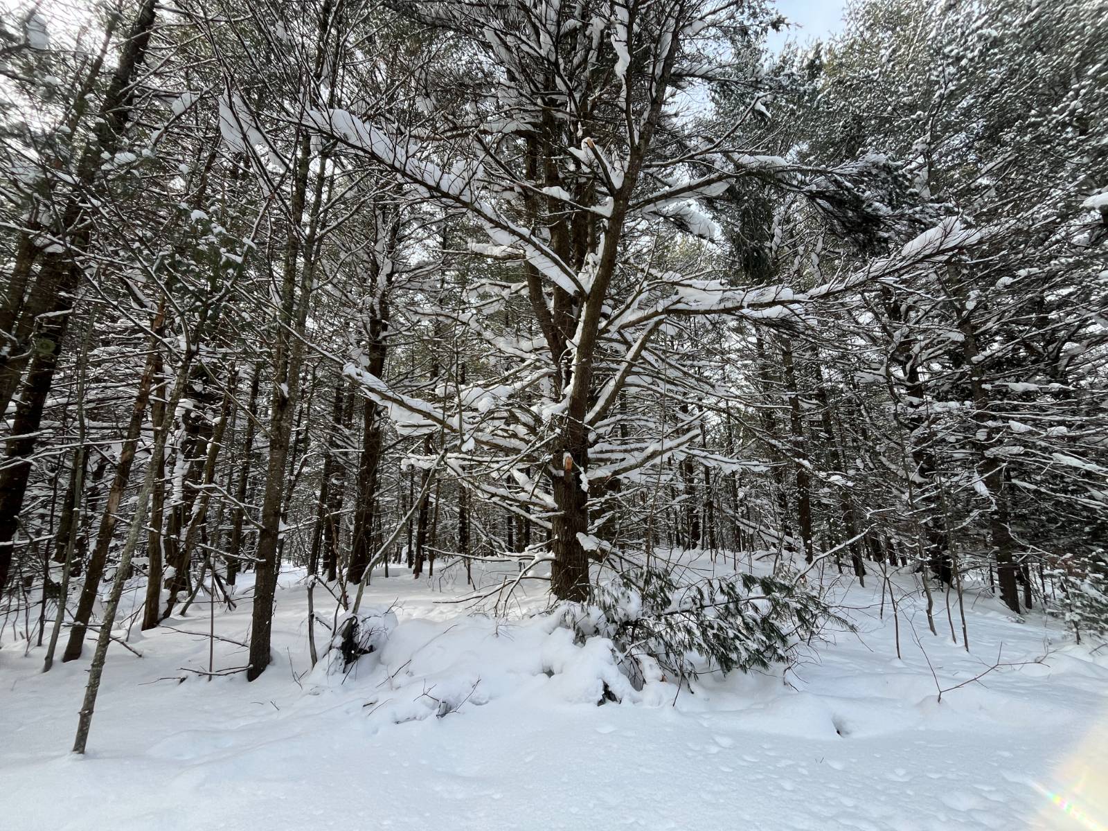 #23 photo, 00 Arnoldville Rd, #2, Diana , NY 13648