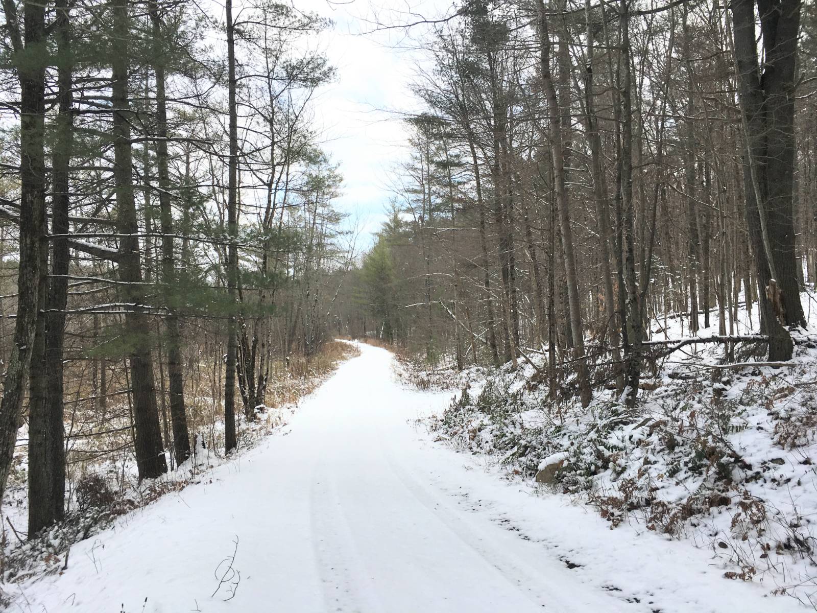 #25 photo, 00 Arnoldville Rd, #2, Diana , NY 13648