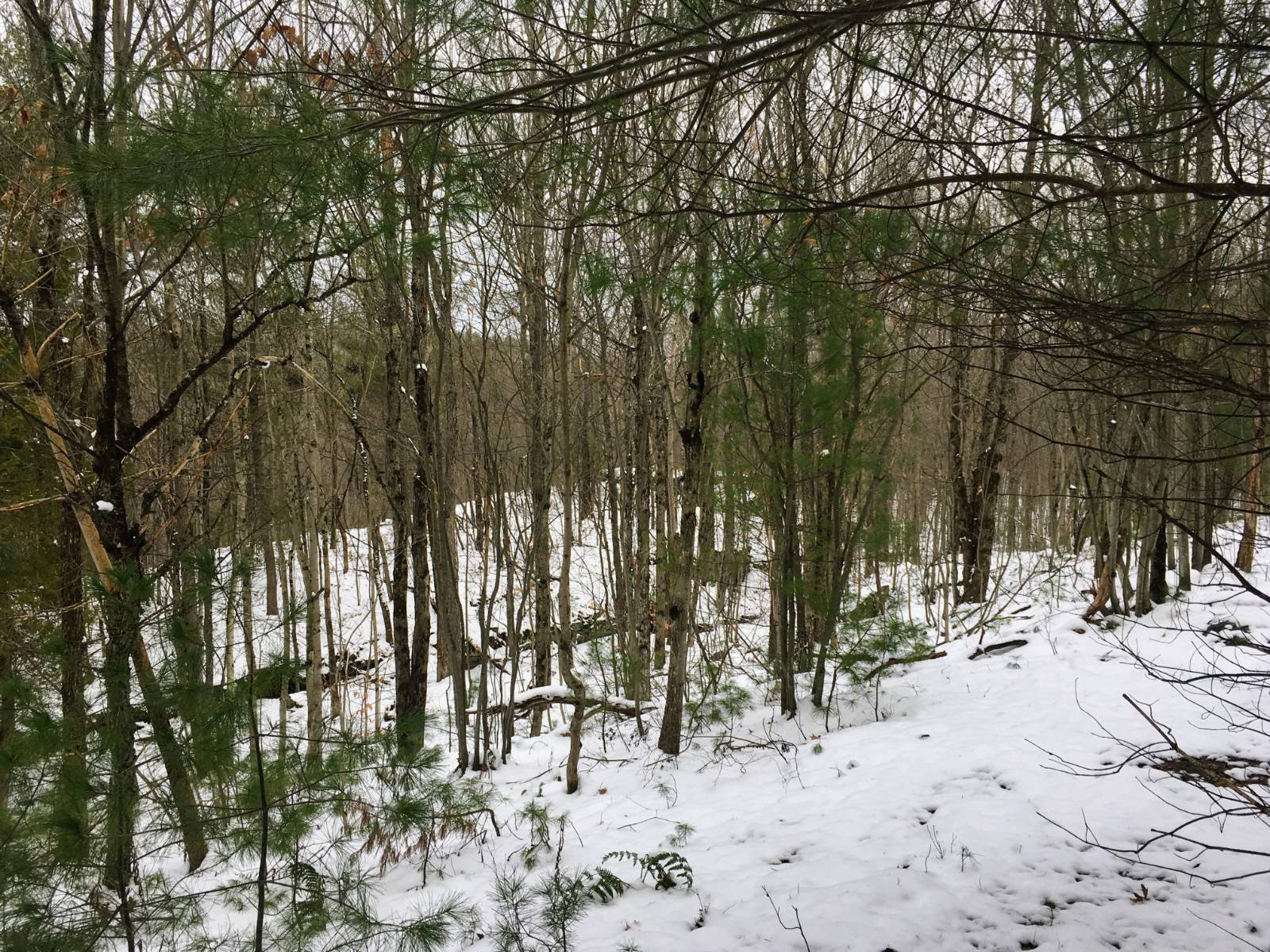 #29 photo, 00 Arnoldville Rd, #2, Diana , NY 13648