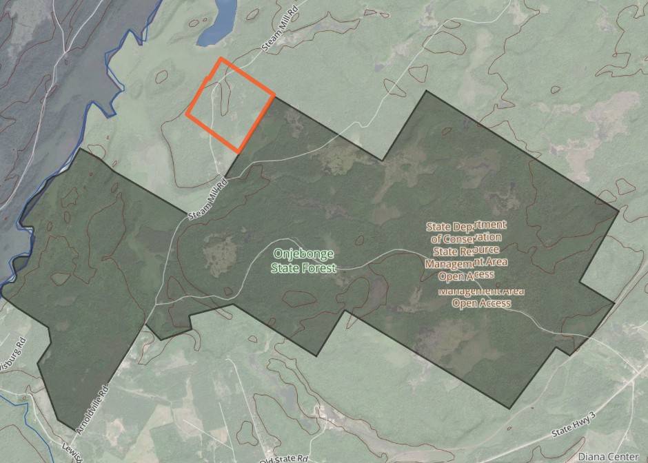 #32 photo, 00 Arnoldville Rd, #2, Diana , NY 13648