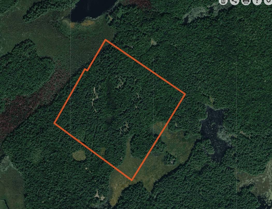 #5 photo, 00 Arnoldville Rd, #2, Diana , NY 13648