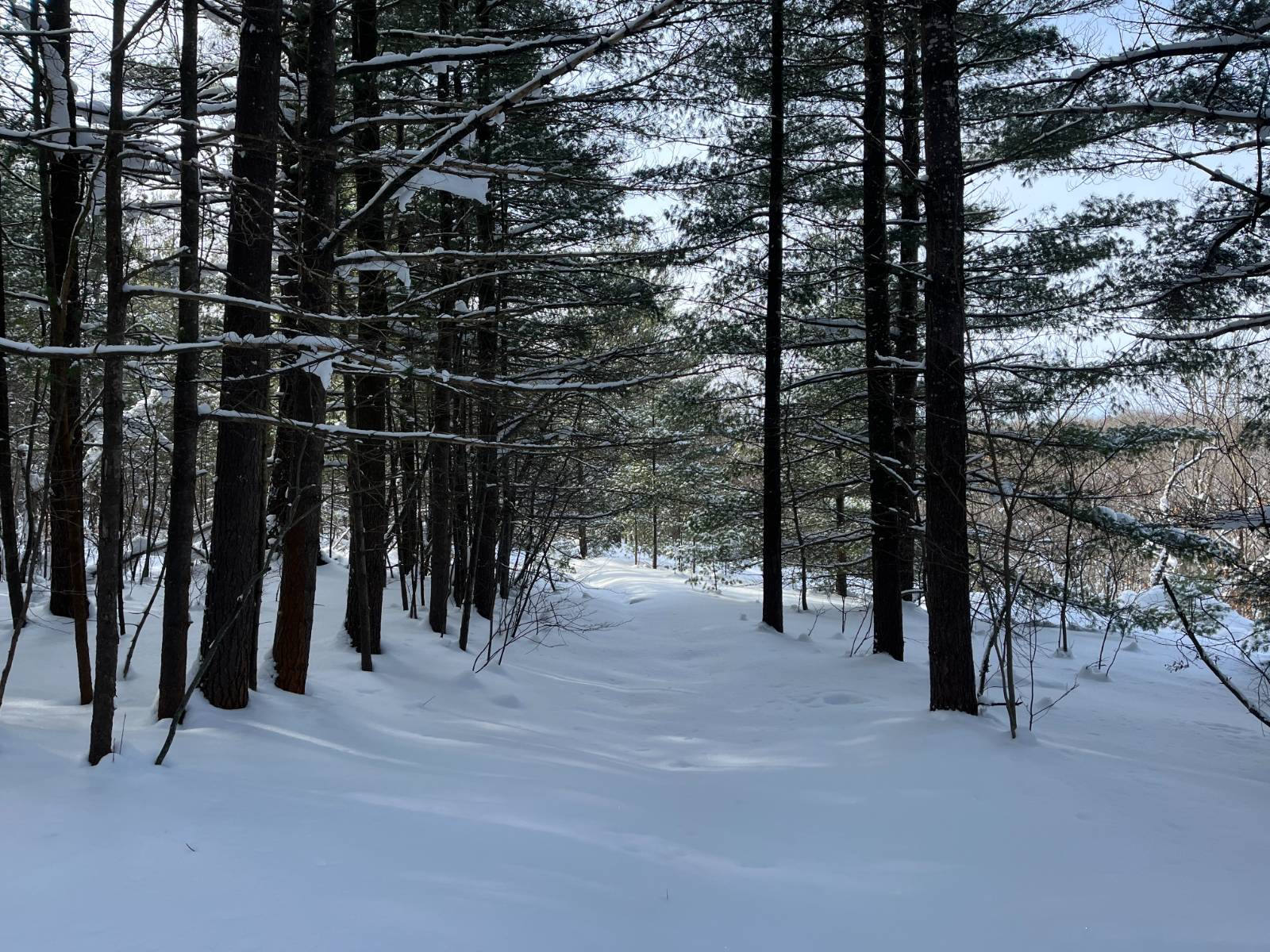 #6 photo, 00 Arnoldville Rd, #2, Diana , NY 13648