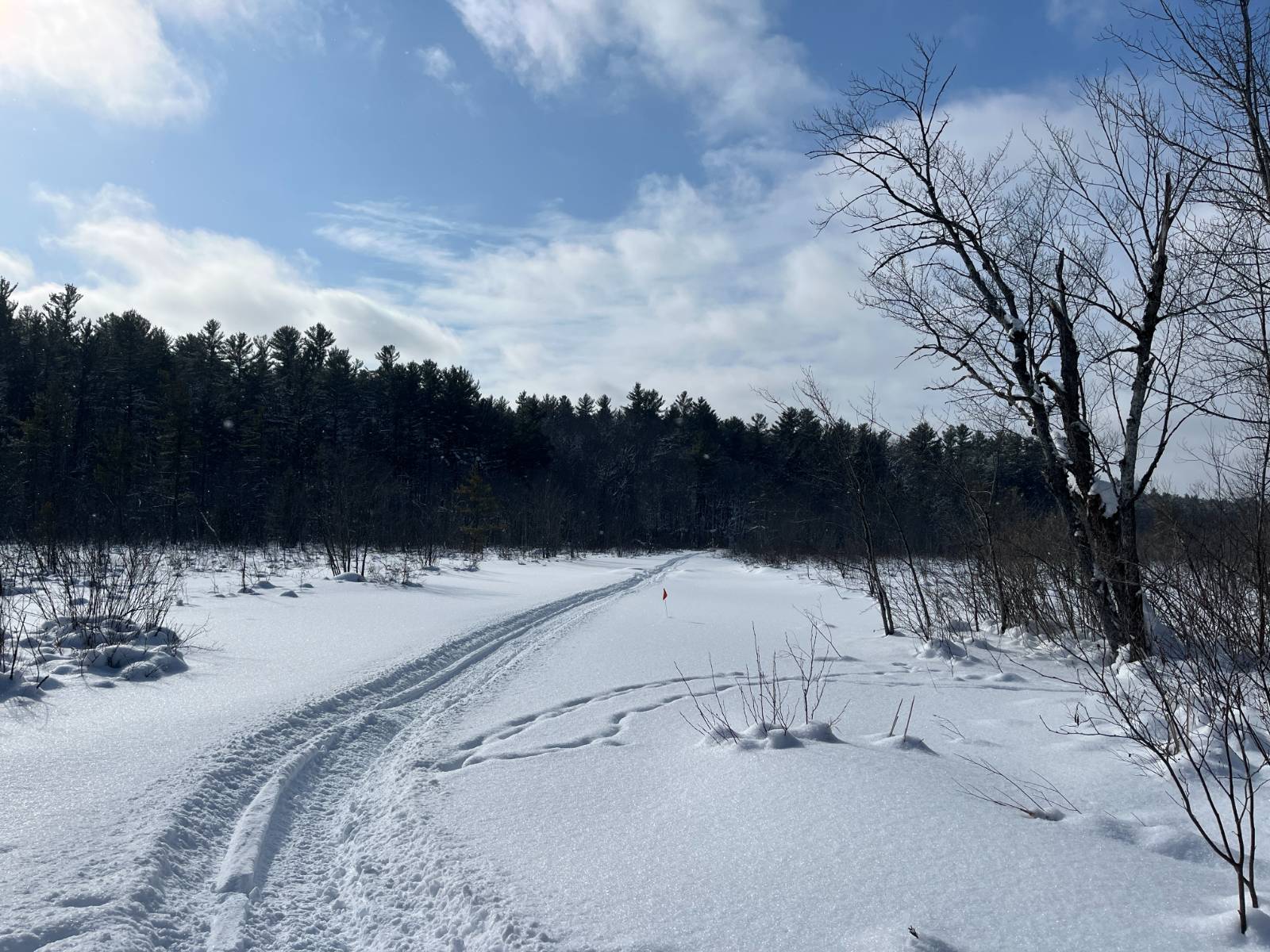 #7 photo, 00 Arnoldville Rd, #2, Diana , NY 13648