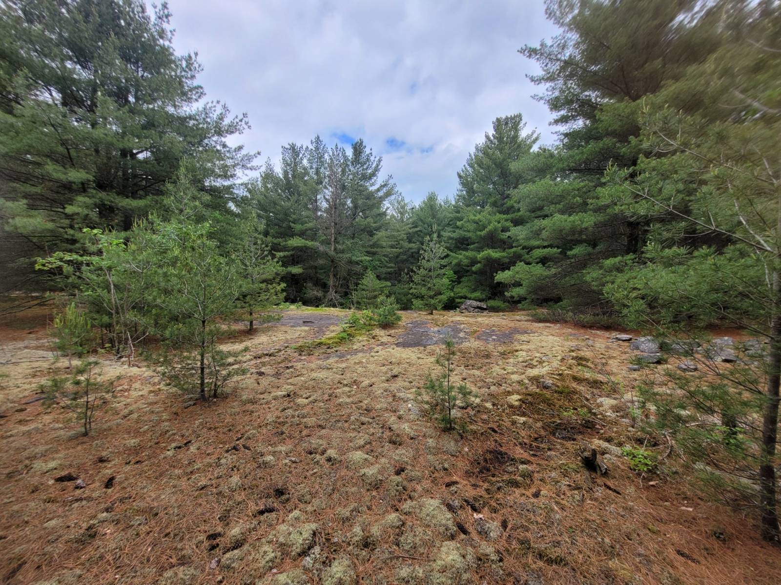 #9 photo, 00 Arnoldville Rd, #2, Diana , NY 13648