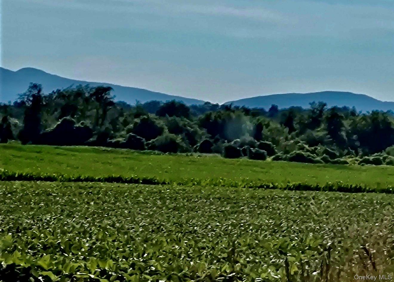 #3 photo, US 9, Hudson , NY 12534