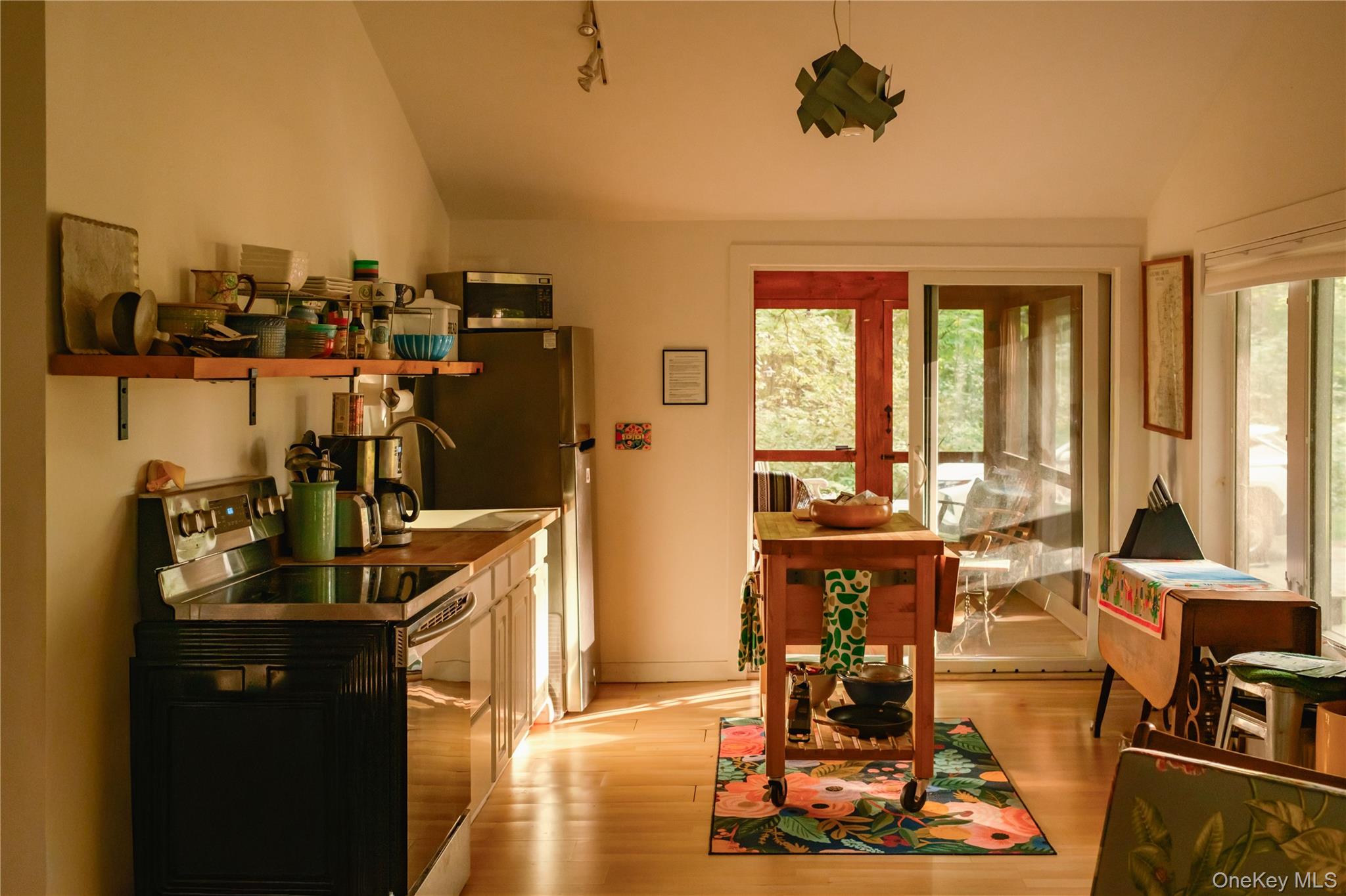 #14 photo, 127 Queechy Shores Beach, Canaan , NY 12029