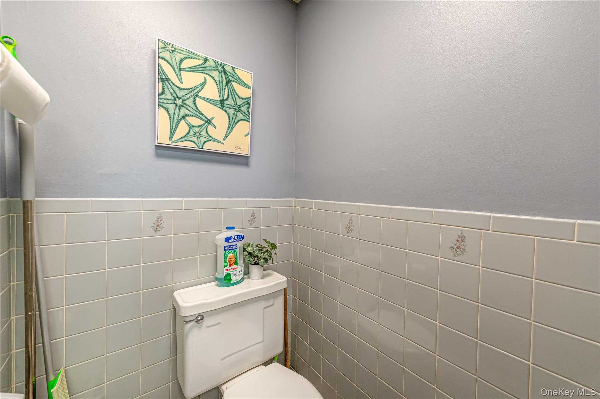 #20 photo, 57 Old Country Road, Westbury , NY 11590