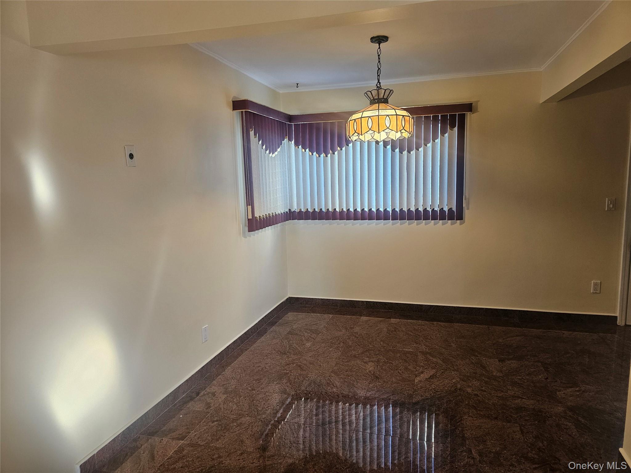 #5 photo, 162 Crown Avenue, 长岛 Elmont , NY 11003