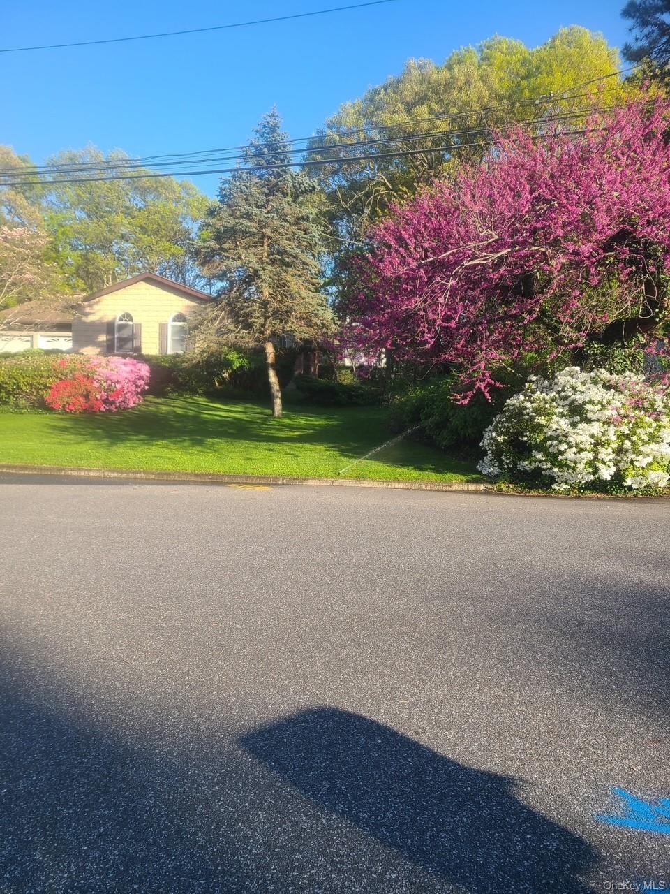 #4 photo, 38 Maria Court, सफ़ोक काउंटी Holbrook , NY 11741