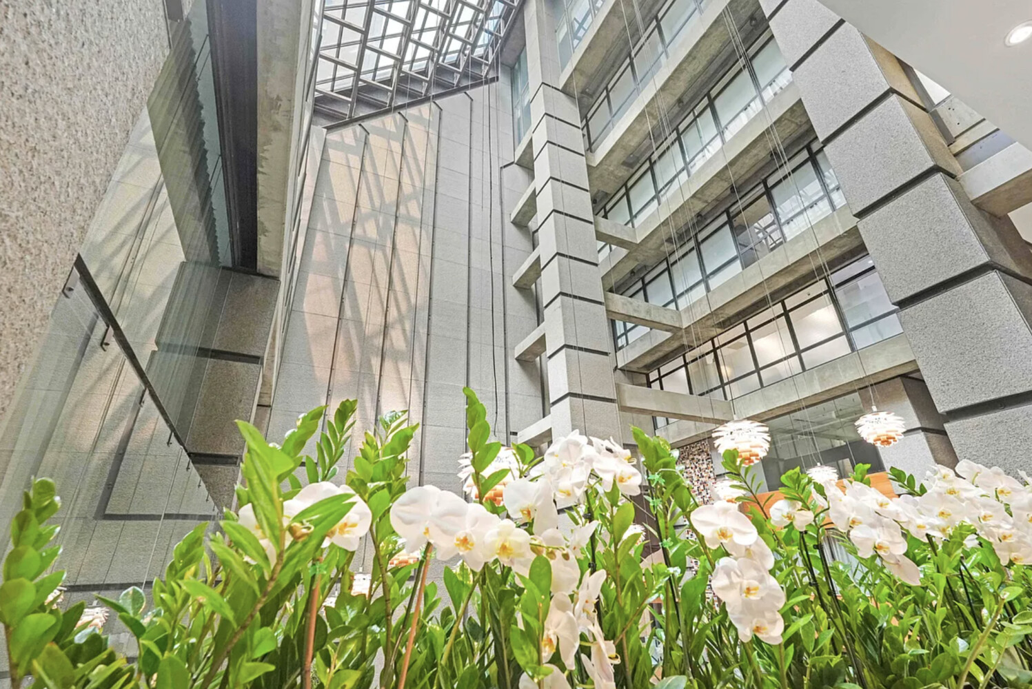 #12 photo, 117 E 57TH Street, Midtown East , NY 10022