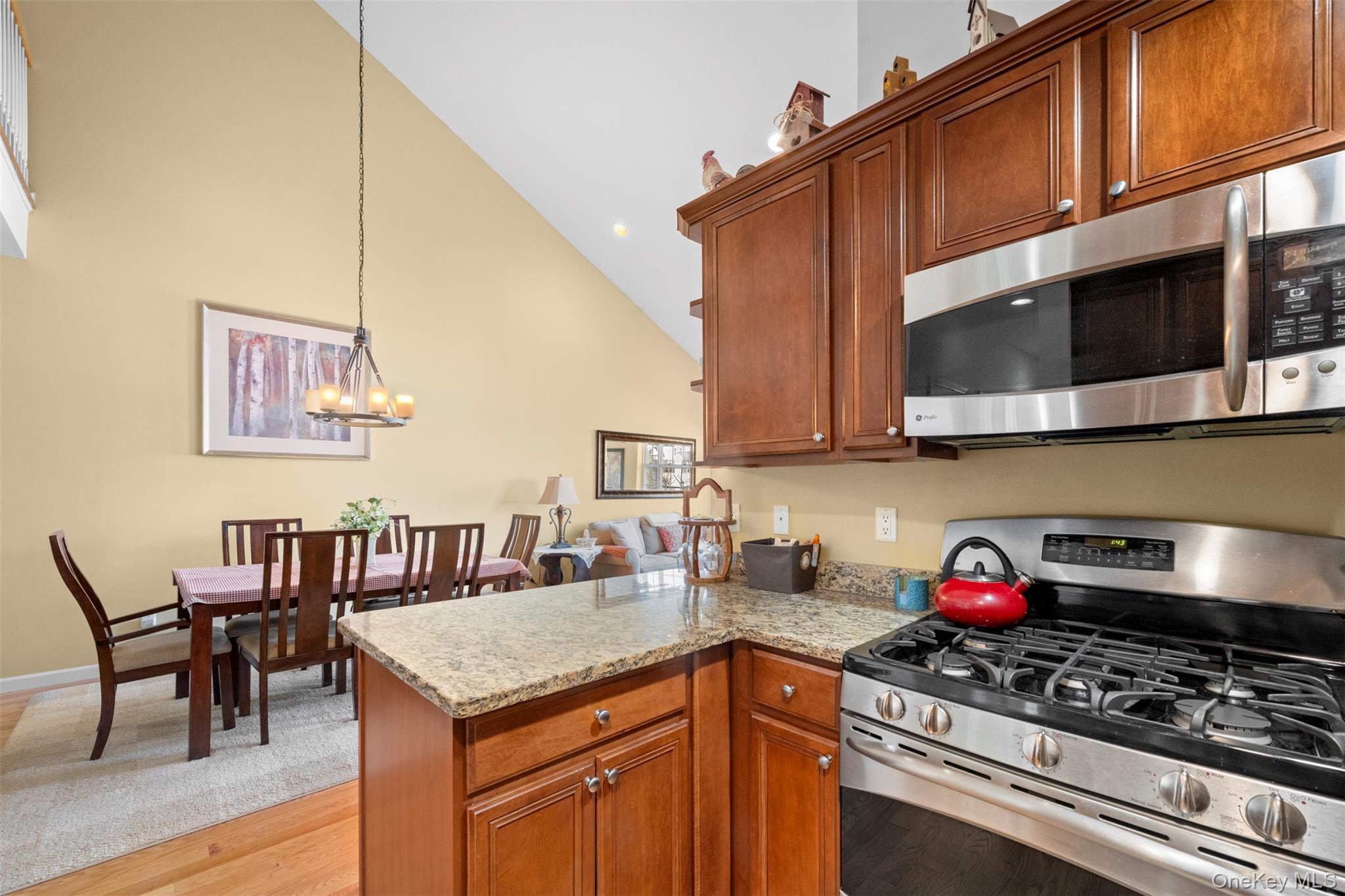 #11 photo, 479 Spring Drive, East Meadow , NY 11554