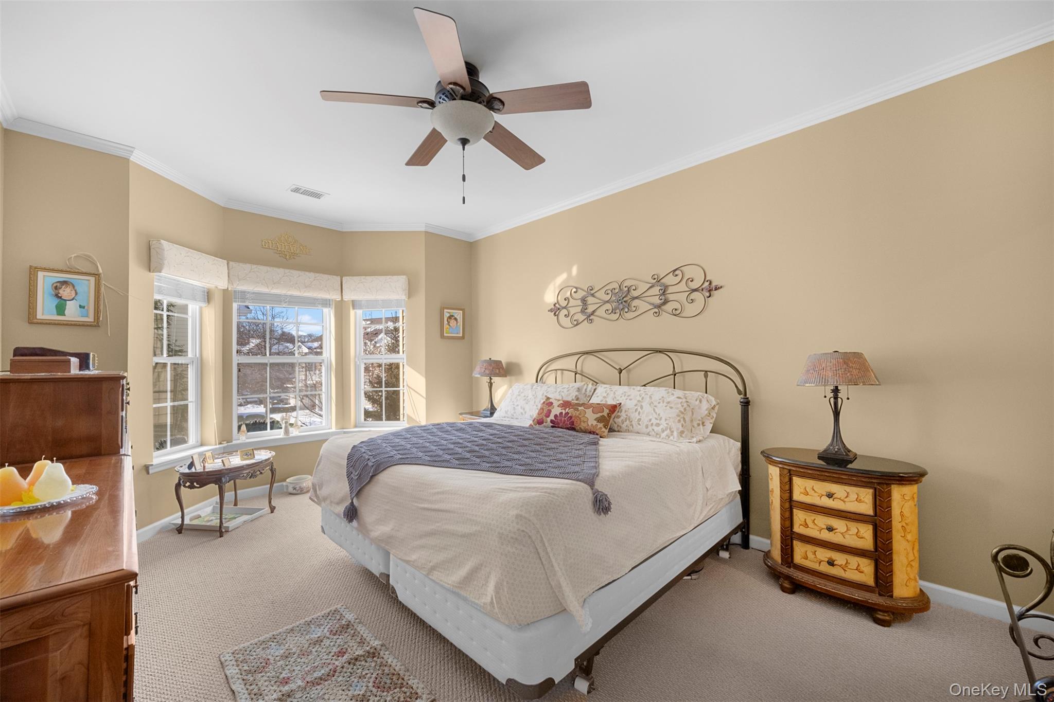 #19 photo, 479 Spring Drive, East Meadow , NY 11554