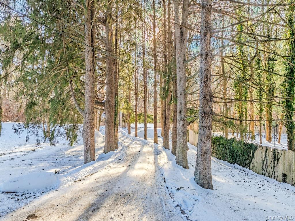 #9 photo, Brookville, Brookville , NY 11545