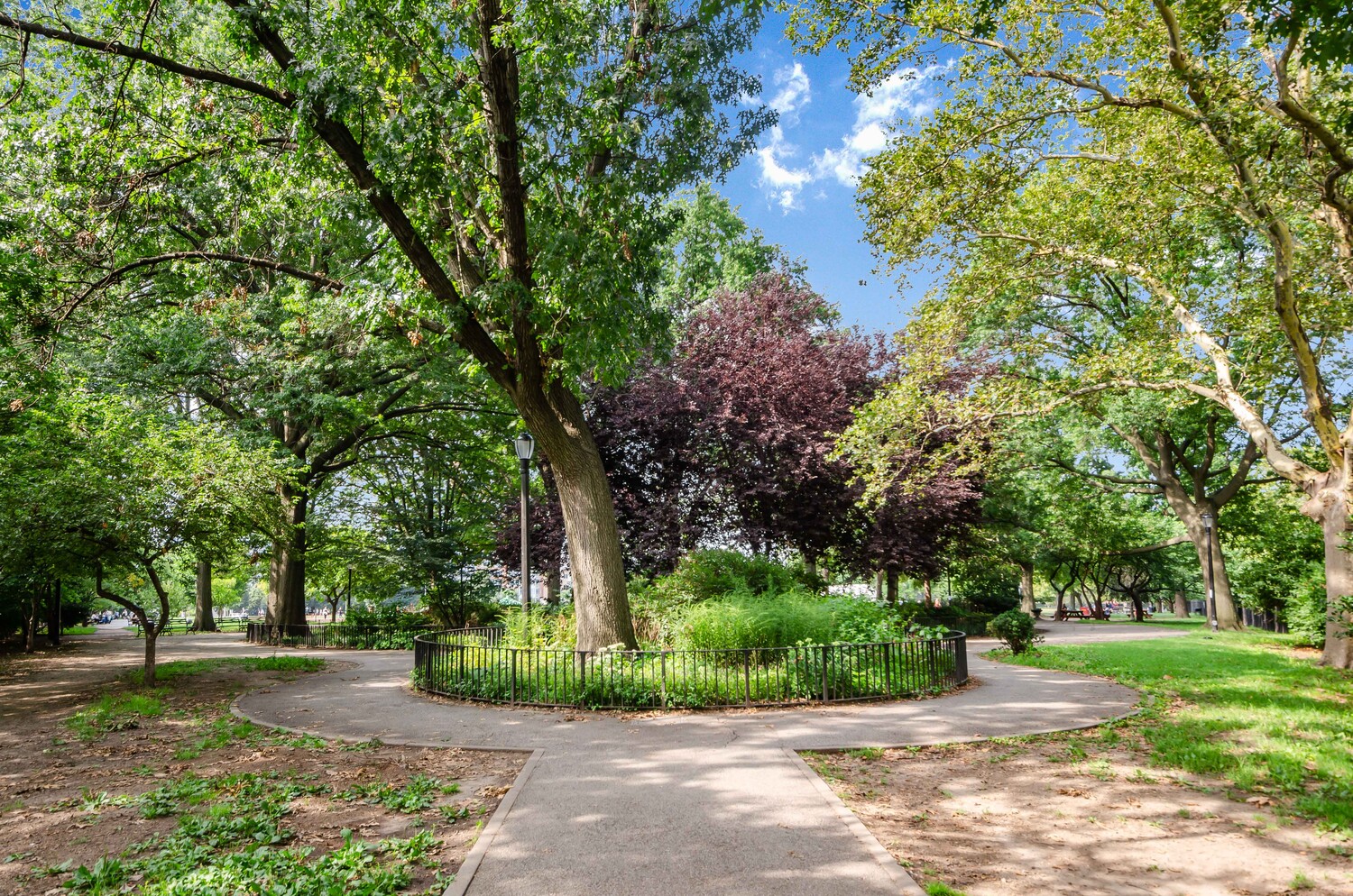 #17 photo, 63 CONSELYEA Street, Williamsburg , NY 11211