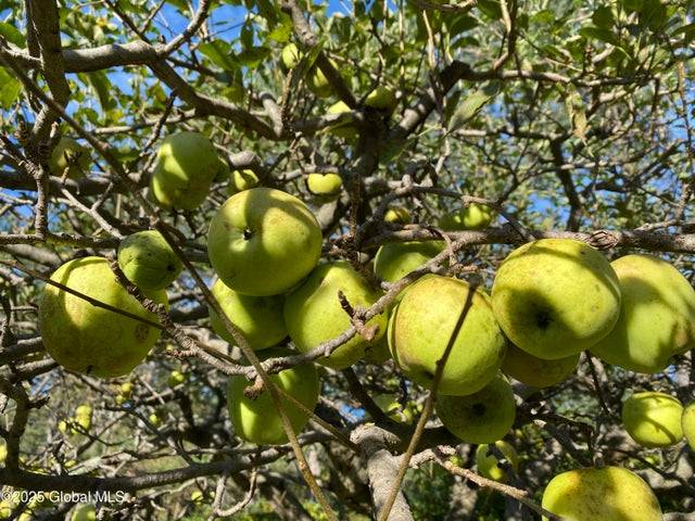 #45 photo, 7 Western, Charlton , NY 12019