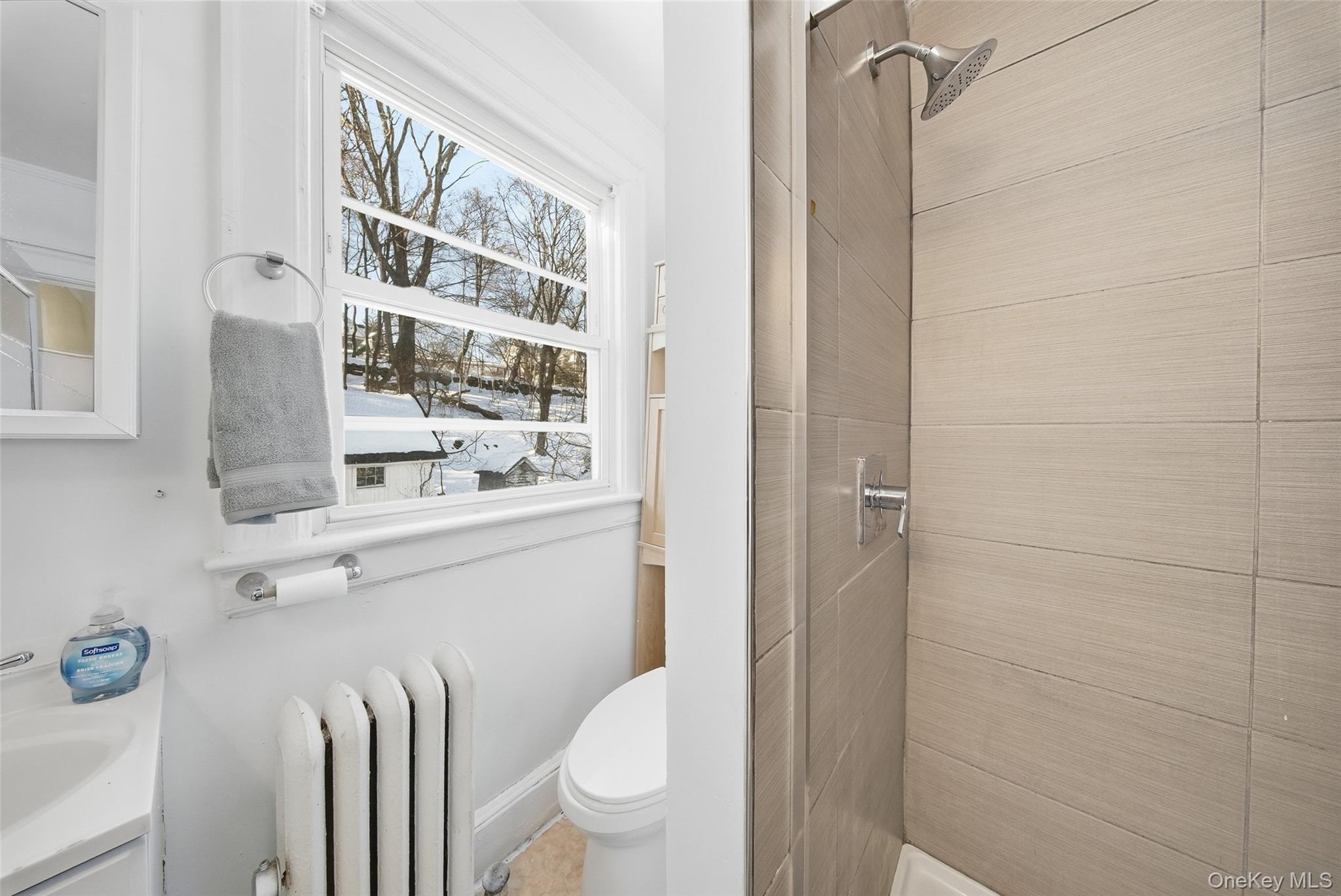 #19 photo, 29 Beacon Street, Middletown , NY 10940