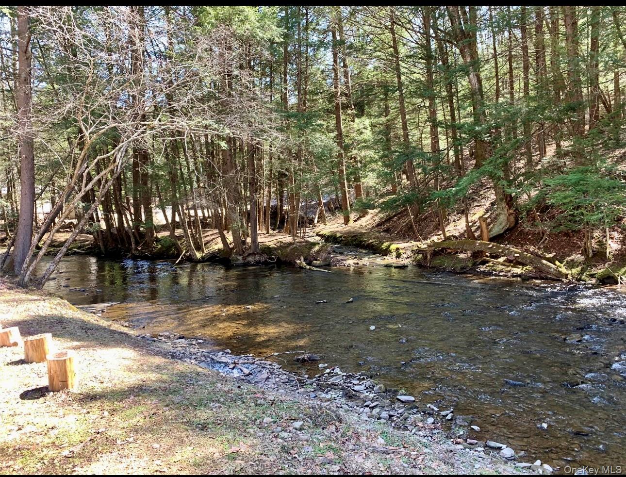 #4 photo, 604 Basket Road, Long Eddy , NY 12760