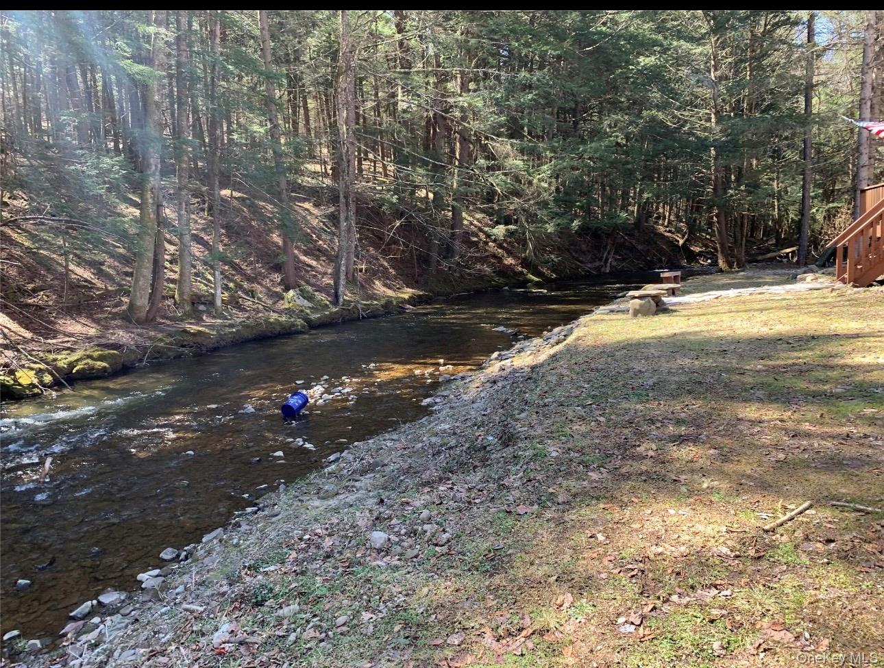 #5 photo, 604 Basket Road, Long Eddy , NY 12760