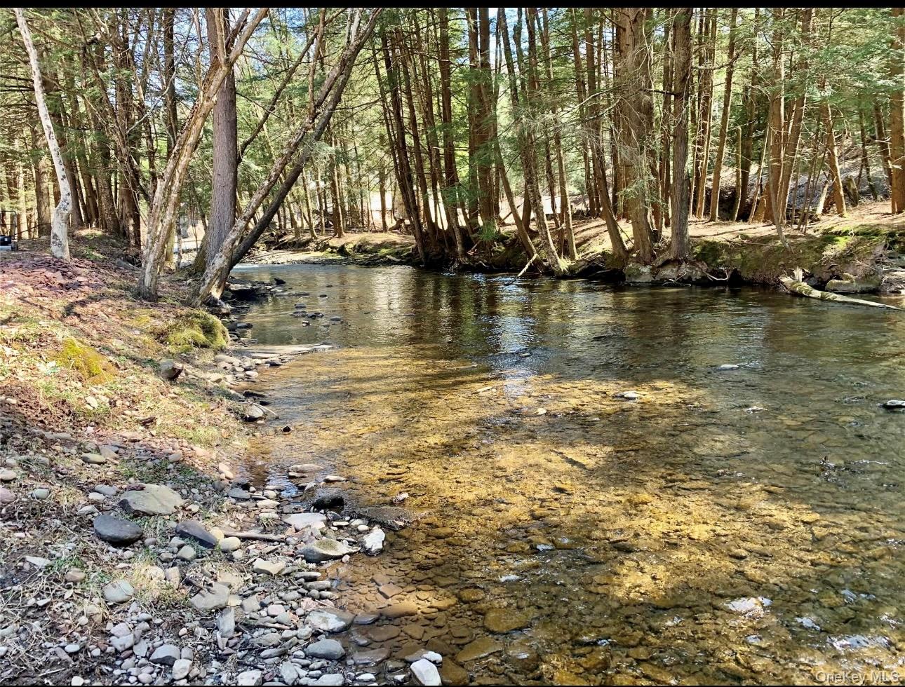 #6 photo, 604 Basket Road, Long Eddy , NY 12760