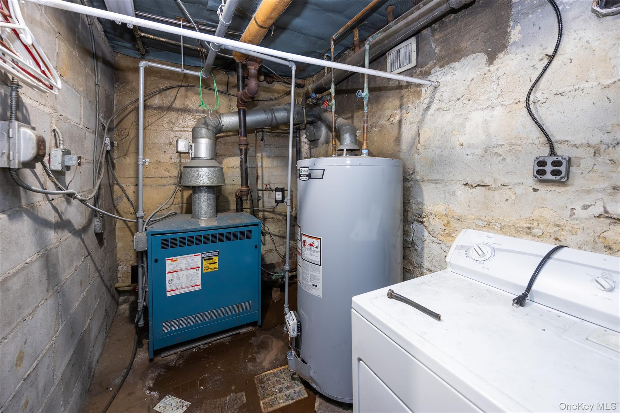 #19 photo, 6511 Perry Avenue, كوينز Maspeth , NY 11378