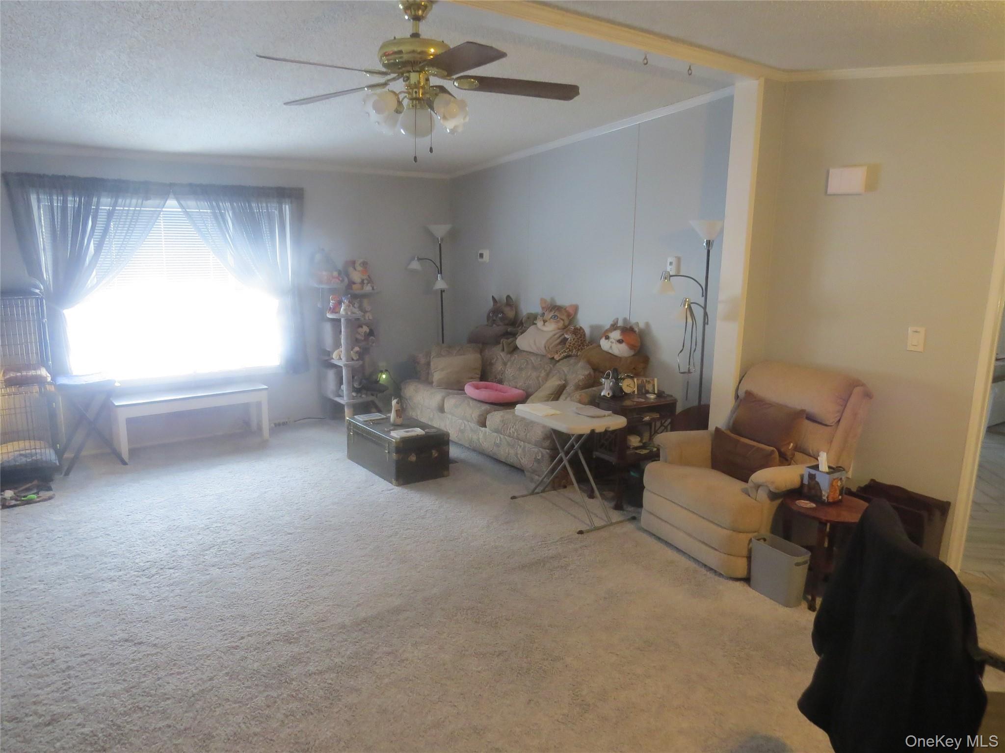 #6 photo, 723 Beekman Road, Hopewell Junction , NY 12533