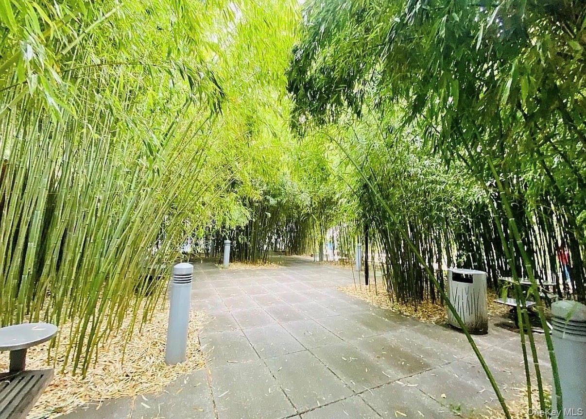 #11 photo, 40-22 College Point Boulevard, קווינס Flushing , NY 11354