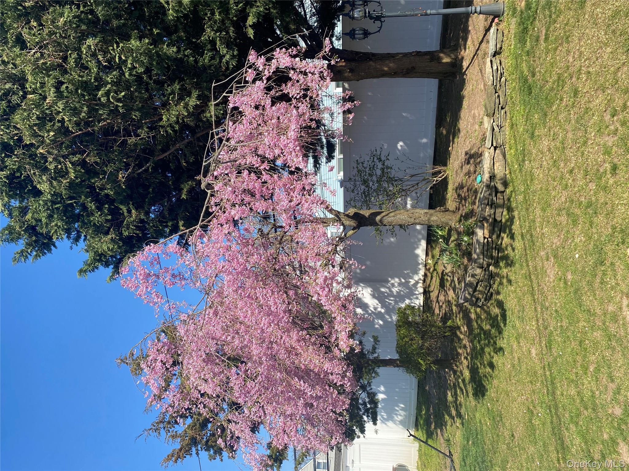 #4 photo, 103 Ranch Lane, מחוז נסאו Levittown , NY 11756