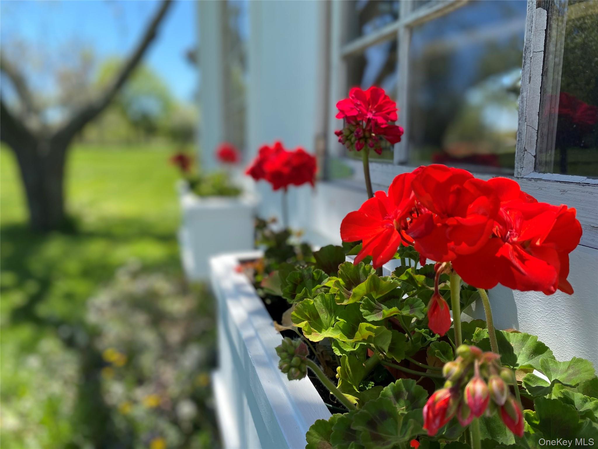 #2 photo, 5845 E Bridge Lane, Cutchogue , NY 11935