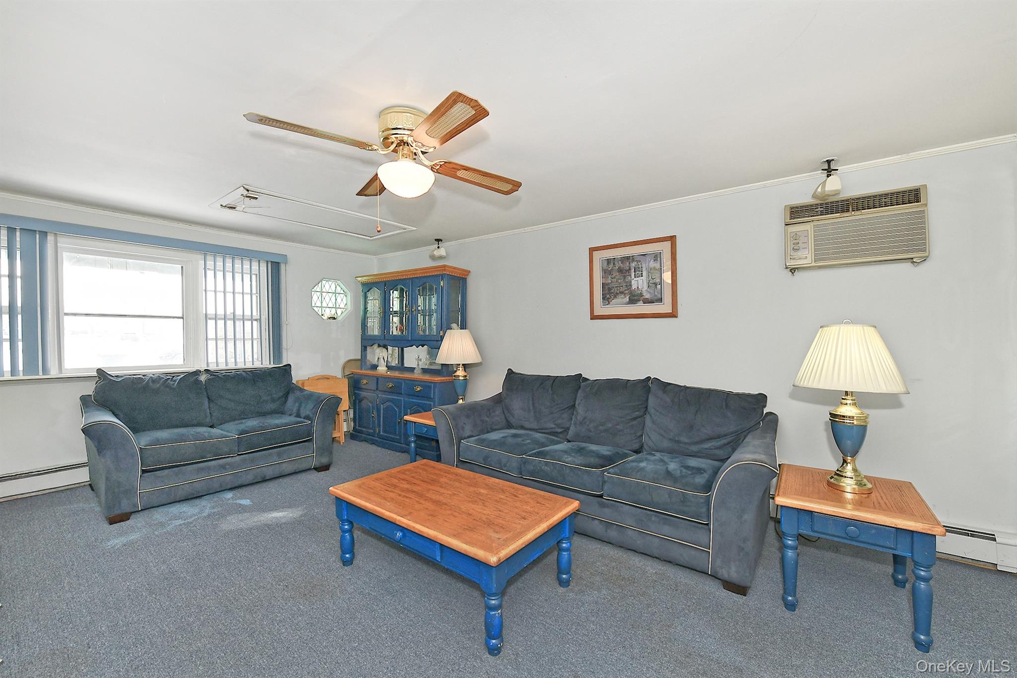 #15 photo, 325 Cayuga Avenue, East Meadow , NY 11554