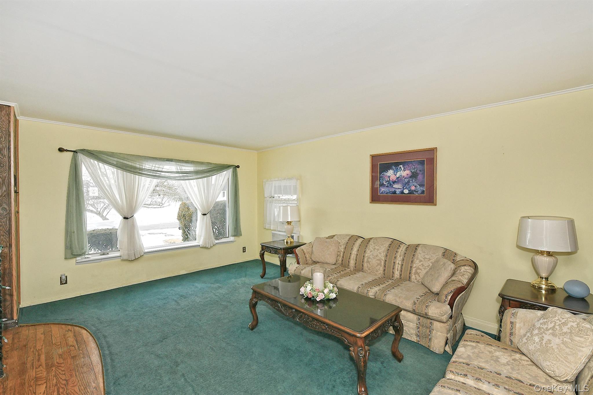 #8 photo, 325 Cayuga Avenue, East Meadow , NY 11554