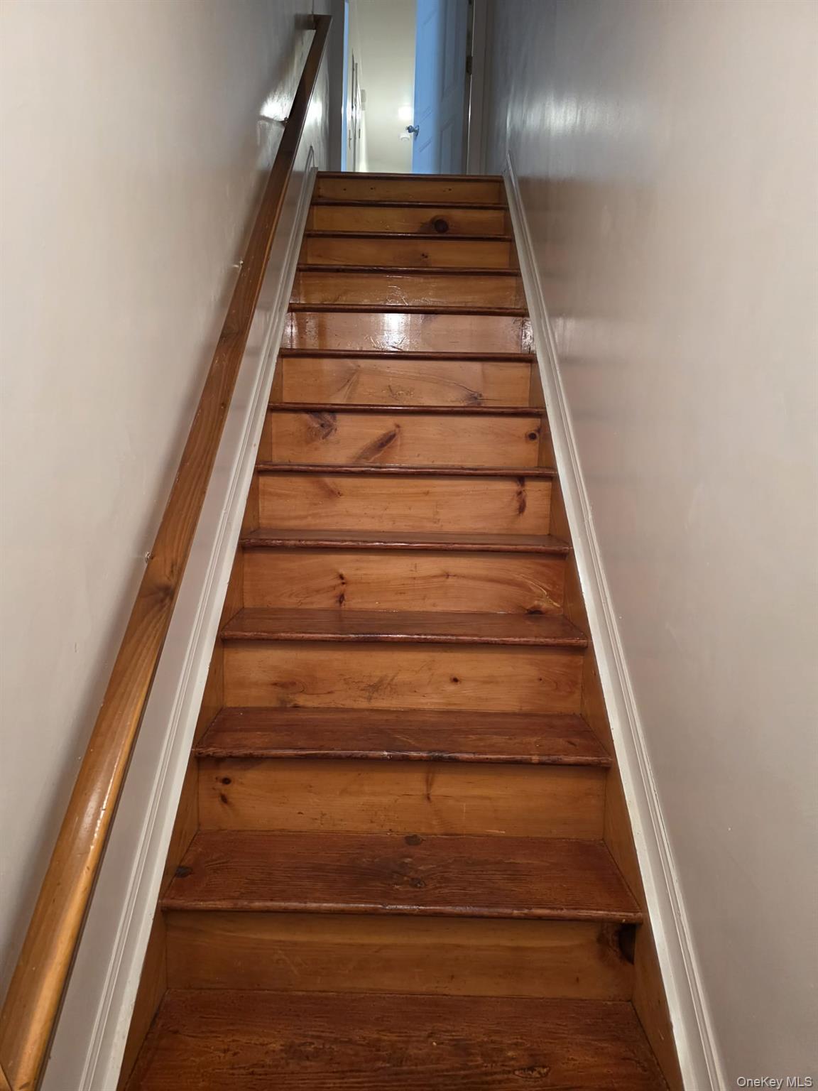 #13 photo, 400 Crescent Street, Brooklyn , NY 11208