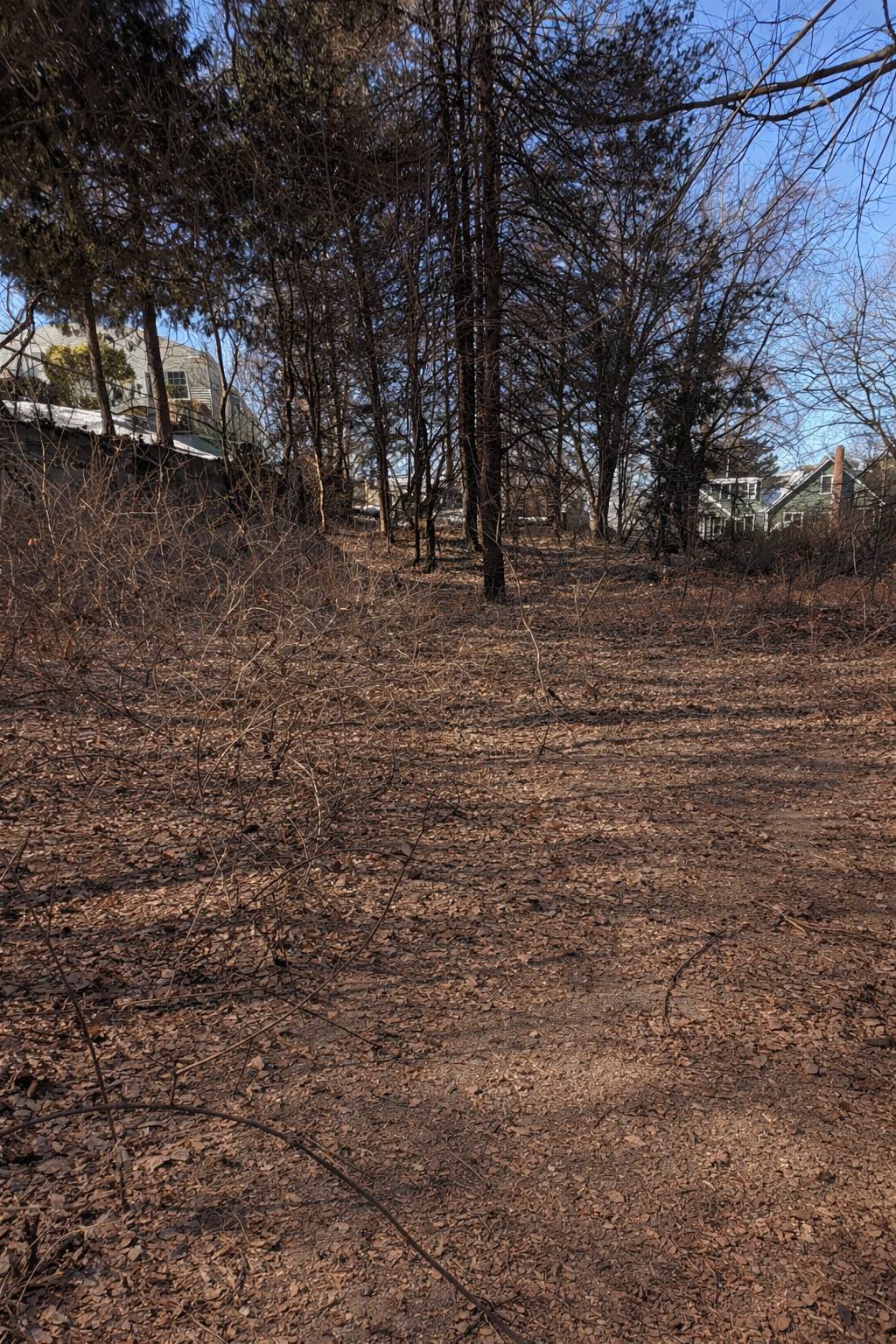 #2 photo, 310 Smithtown Blvd, Nesconset , NY 11767