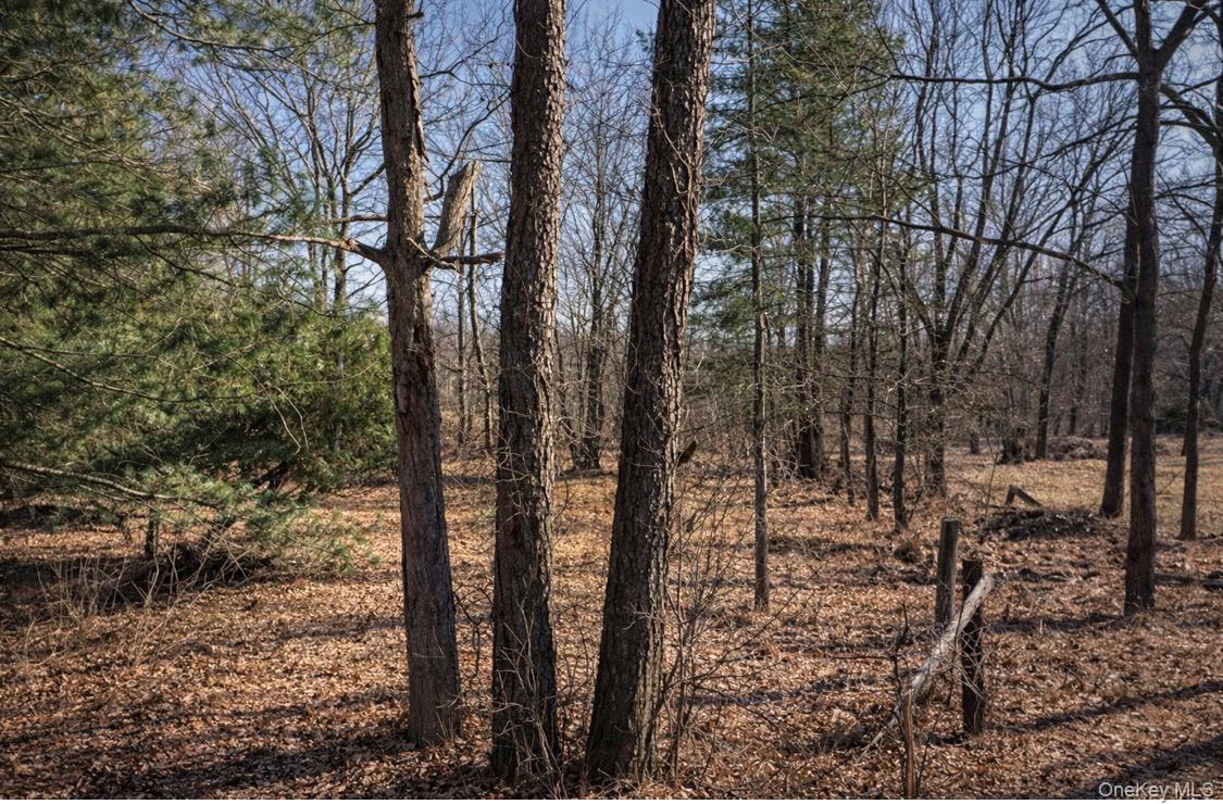 #1 photo, 230 Derby Road, Middletown , NY 10940