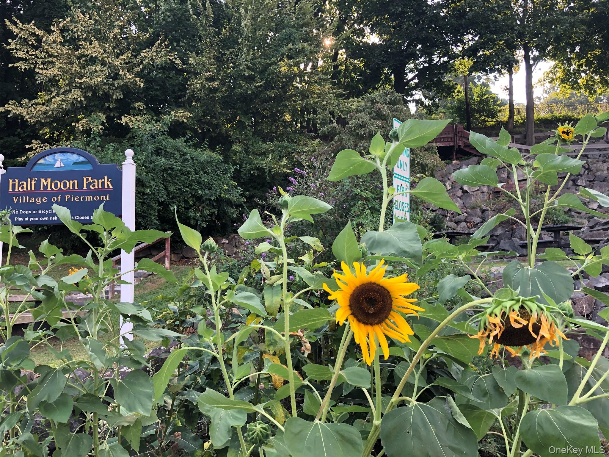 #17 photo, 2 W Lawrence Park Drive, Piermont , NY 10968