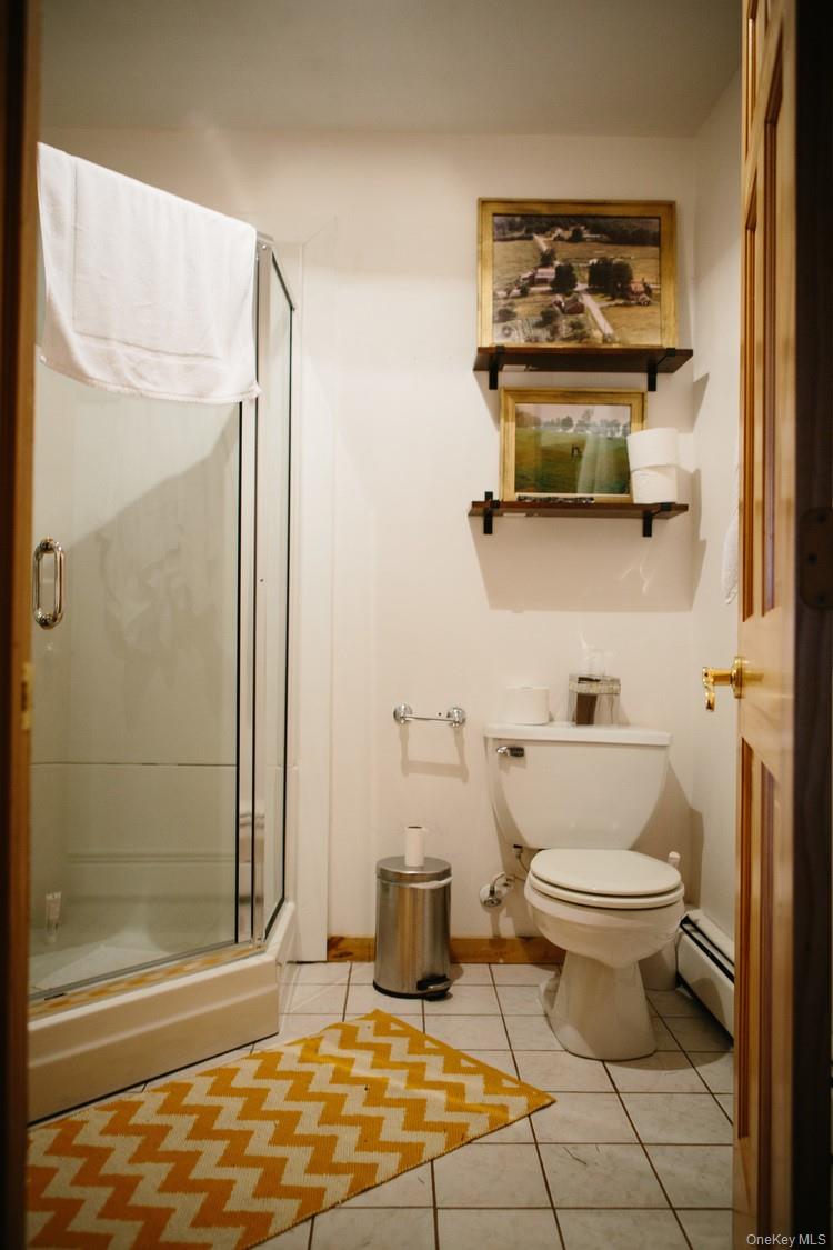 #8 photo, 282 W Shore Road, Bethel , NY 12783