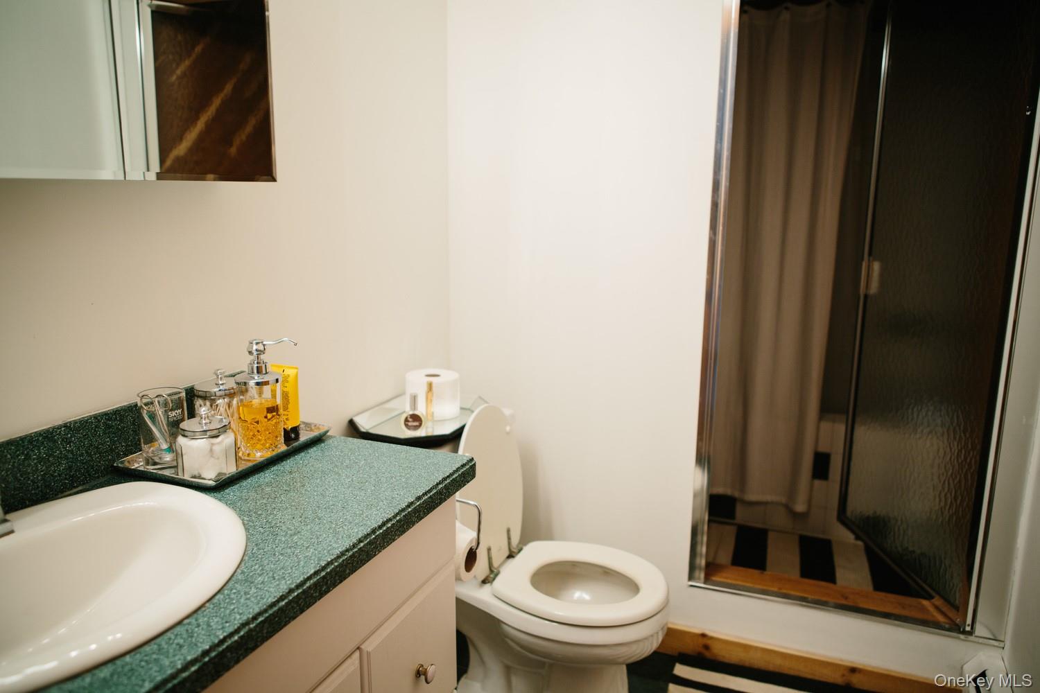 #9 photo, 282 W Shore Road, Bethel , NY 12783